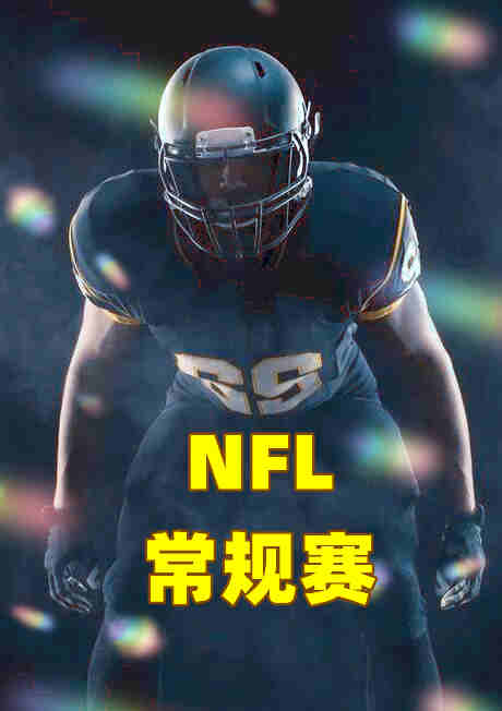 NFL常规赛-海盗vs49人-20221212剧照