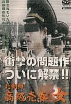 北朝鮮高級売春女线上看