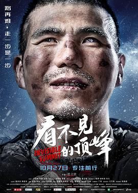 2018纪录片《看不见的顶峰》迅雷下载_中文完整版_百度云网盘720P|1080P资源