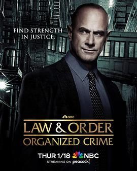 法律与秩序：组织犯罪 第四季海报剧照