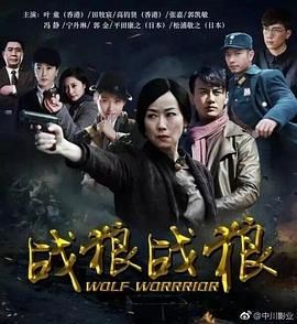 2018国产剧《战狼·战狼》迅雷下载_中文完整版_百度云网盘720P|1080P资源