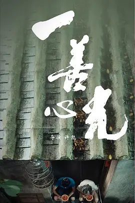 一善心光 (2018)海报封面