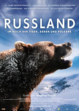 俄罗斯——在老虎，熊和火山之间海报剧照