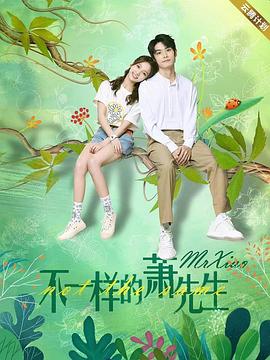 2018国产剧《不一样的萧先生》迅雷下载_中文完整版_百度云网盘720P|1080P资源