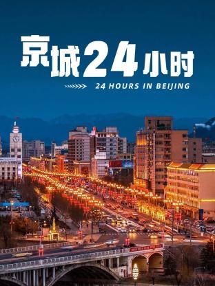 京城24小时海报剧照