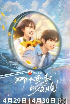 2018国产剧《那个重逢的夜晚》迅雷下载_中文完整版_百度云网盘720P|1080P资源