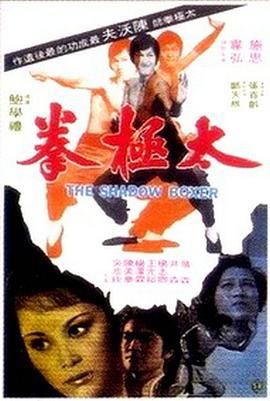 太极拳1974海报封面