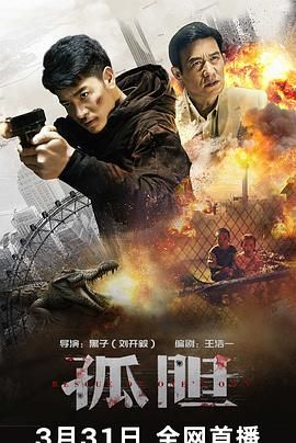 2018动作片《孤胆》迅雷下载_中文完整版_百度云网盘720P|1080P资源