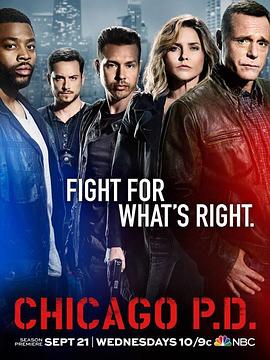 芝加哥警署 第四季免费观看