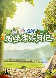 乐队的夏天第一季