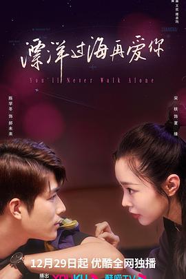 2018国产剧《飘洋过海再爱你》迅雷下载_中文完整版_百度云网盘720P|1080P资源