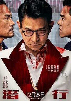 2018动作片《潜行 普通话版》迅雷下载_中文完整版_百度云网盘720P|1080P资源