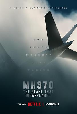 MH370：消失的航班免费观看