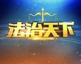 法治天下海报剧照