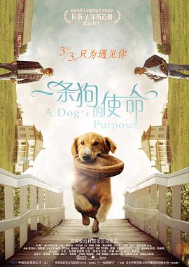 一条狗的使命 普通话