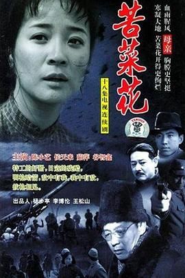 2018国产剧《苦菜花 2004》迅雷下载_中文完整版_百度云网盘720P|1080P资源