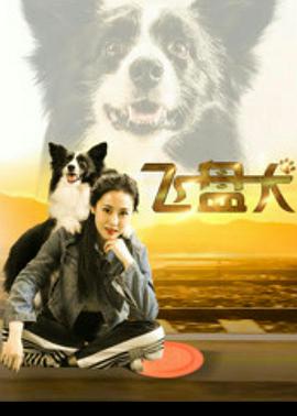 飞盘犬 (2020)免费观看