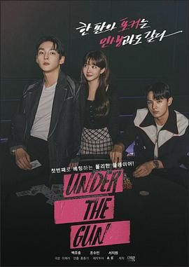 2018日韩剧《Under the Gun》迅雷下载_中文完整版_百度云网盘720P|1080P资源