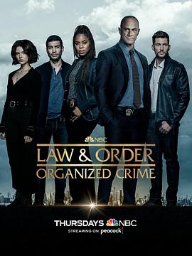 法律与秩序：组织犯罪 第三季免费观看