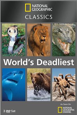 世界致命动物系列：中美洲篇