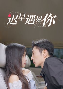 2018国产剧《迟早遇见你》迅雷下载_中文完整版_百度云网盘720P|1080P资源