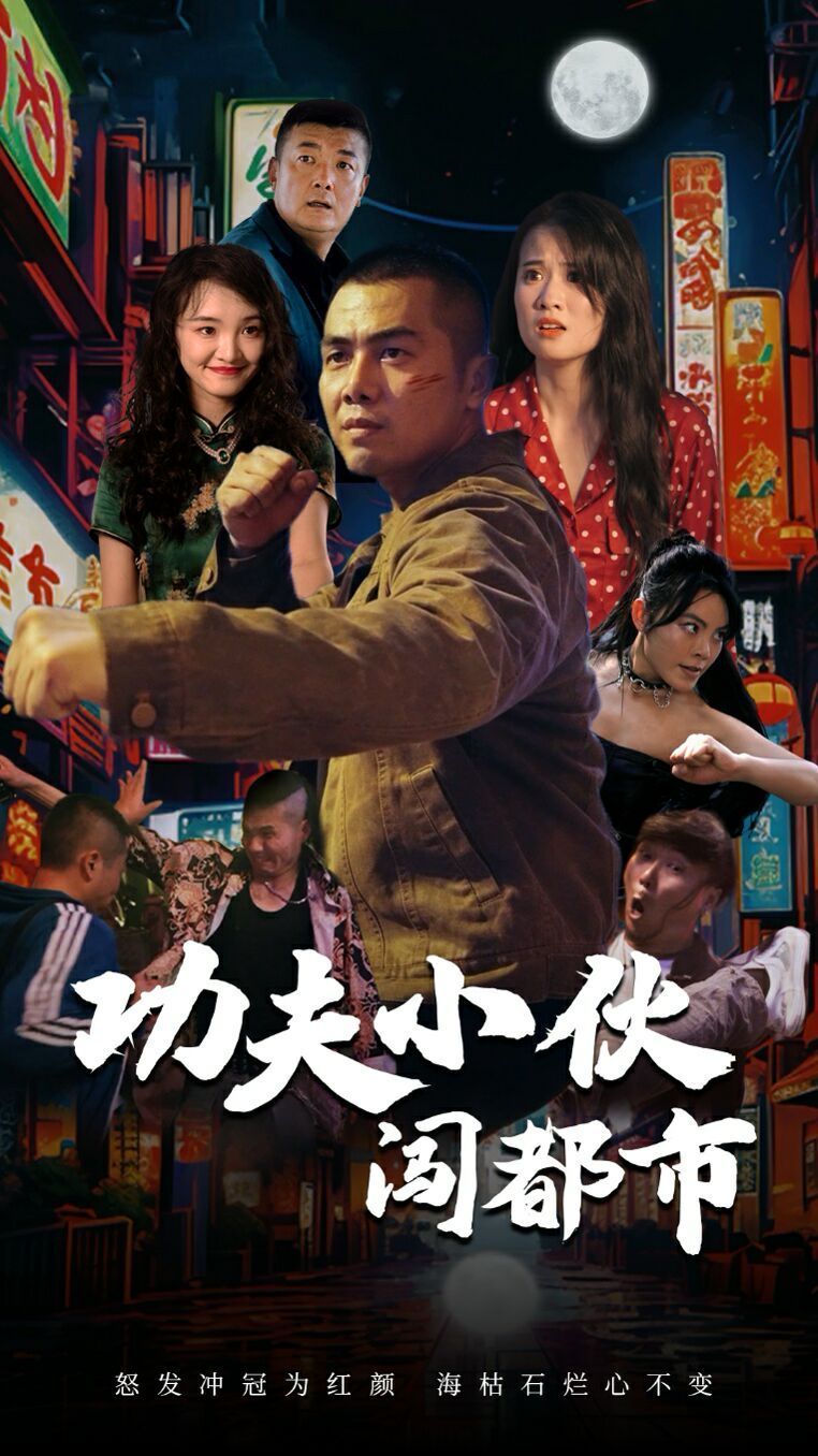 功夫小伙闯都市DVD