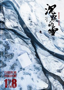 2018剧情片《沉默的雪》迅雷下载_中文完整版_百度云网盘720P|1080P资源