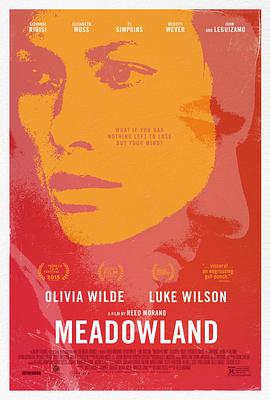 2018剧情片《小镇迷踪 Meadowland》迅雷下载_中文完整版_百度云网盘720P|1080P资源