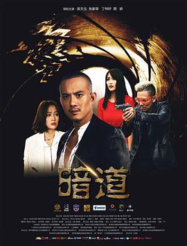 2018动作片《暗道》迅雷下载_中文完整版_百度云网盘720P|1080P资源