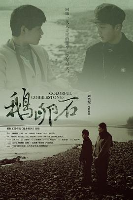 2018剧情片《鹅卵石》迅雷下载_中文完整版_百度云网盘720P|1080P资源