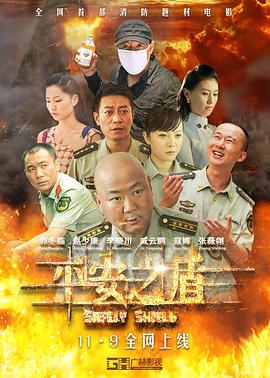 2018爱情片《平安之盾》迅雷下载_中文完整版_百度云网盘720P|1080P资源