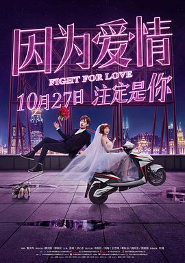 2018爱情片《因为爱情》迅雷下载_中文完整版_百度云网盘720P|1080P资源