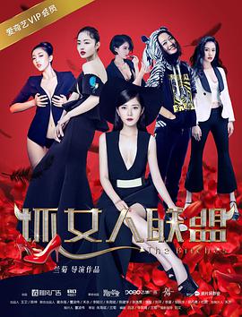 2018喜剧片《坏女人联盟》迅雷下载_中文完整版_百度云网盘720P|1080P资源