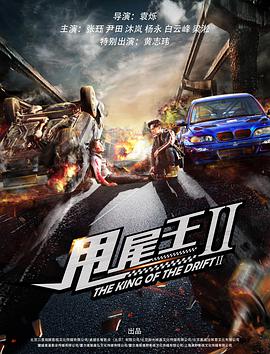 2018动作片《甩尾王2》迅雷下载_中文完整版_百度云网盘720P|1080P资源