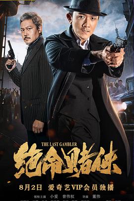 2018剧情片《绝命赌侠》迅雷下载_中文完整版_百度云网盘720P|1080P资源