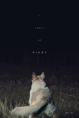 2018恐怖片《黑夜造访》迅雷下载_中文完整版_百度云网盘720P|1080P资源