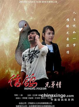 2018剧情片《信鸽之兄弟情》迅雷下载_中文完整版_百度云网盘720P|1080P资源