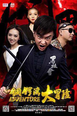 2018动作片《铜锣湾大冒险》迅雷下载_中文完整版_百度云网盘720P|1080P资源