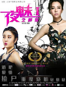 2018爱情片《夜魅之醉宿》迅雷下载_中文完整版_百度云网盘720P|1080P资源