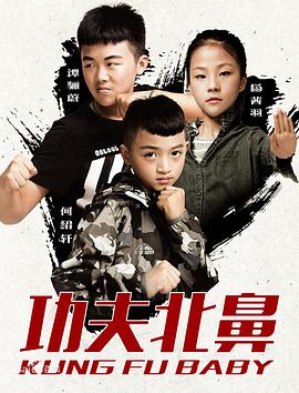 2018动作片《功夫北鼻》迅雷下载_中文完整版_百度云网盘720P|1080P资源