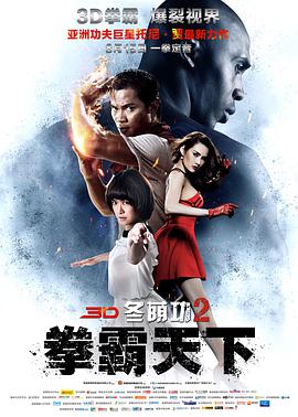 2018动作片《冬荫功2：拳霸天下》迅雷下载_中文完整版_百度云网盘720P|1080P资源