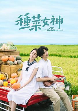 2018台湾剧《种菜女神》迅雷下载_中文完整版_百度云网盘720P|1080P资源