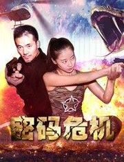 2018喜剧片《密码危机》迅雷下载_中文完整版_百度云网盘720P|1080P资源