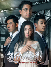 2018剧情片《复仇诡影》迅雷下载_中文完整版_百度云网盘720P|1080P资源