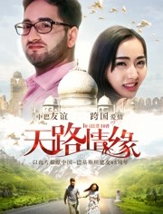 2018爱情片《天路情缘》迅雷下载_中文完整版_百度云网盘720P|1080P资源