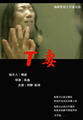 2018剧情片《T妻》迅雷下载_中文完整版_百度云网盘720P|1080P资源