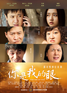 2018国产剧《你是我的眼》迅雷下载_中文完整版_百度云网盘720P|1080P资源