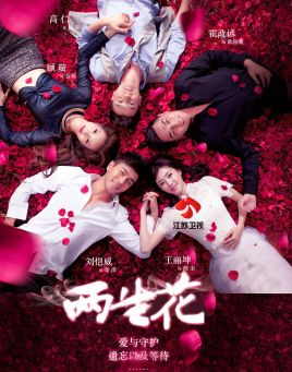 2018国产剧《两生花39集》迅雷下载_中文完整版_百度云网盘720P|1080P资源