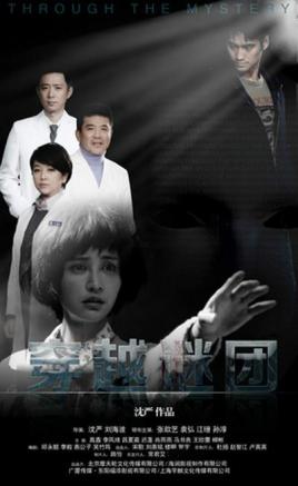 2018国产剧《穿越谜团》迅雷下载_中文完整版_百度云网盘720P|1080P资源