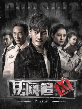 2018国产剧《法网追凶》迅雷下载_中文完整版_百度云网盘720P|1080P资源